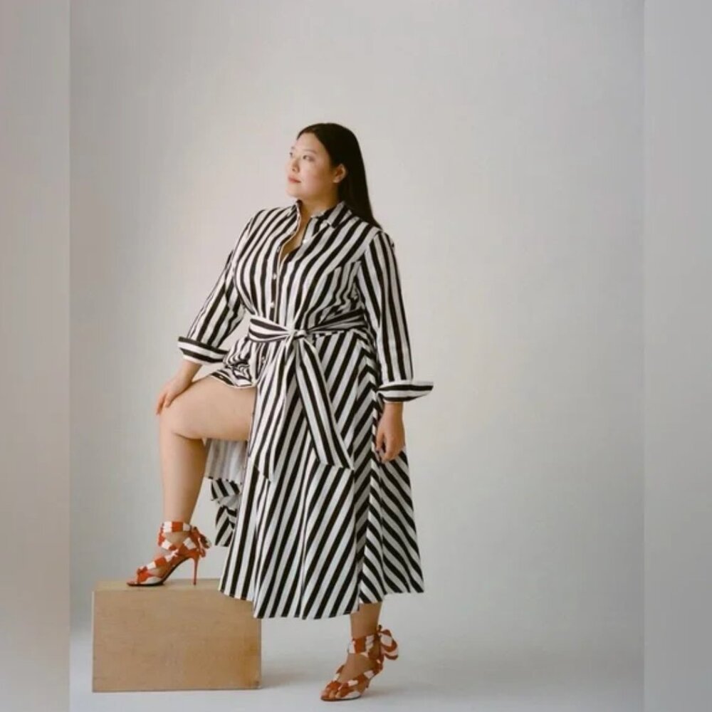 Pari Passu NWOT Poplin Shirtdress Awning Stripe Size C 22 With Belt